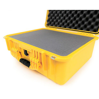 Protector Case, With Padded Dividers, Black