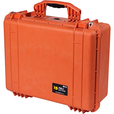 Protector Case, With Padded Dividers, Black