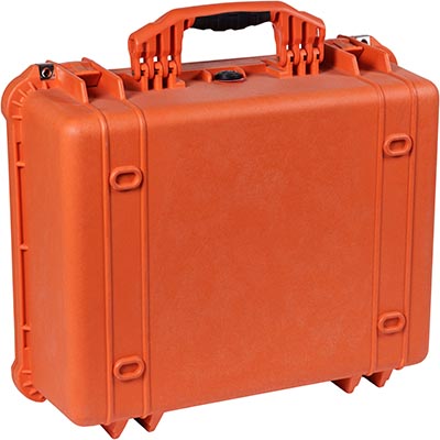 Protector Case, With Padded Dividers, Black
