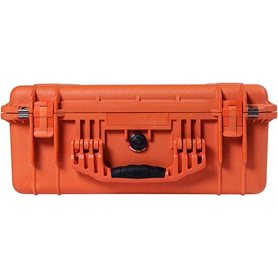 Protector Case, With Padded Dividers, Black