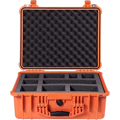 Protector Case, With Padded Dividers, Black