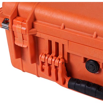 Protector Case, With Padded Dividers, Black