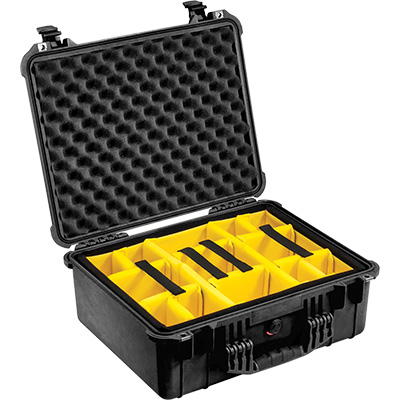 Protector Case, With Padded Dividers, Black